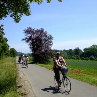 Fietsers onderweg